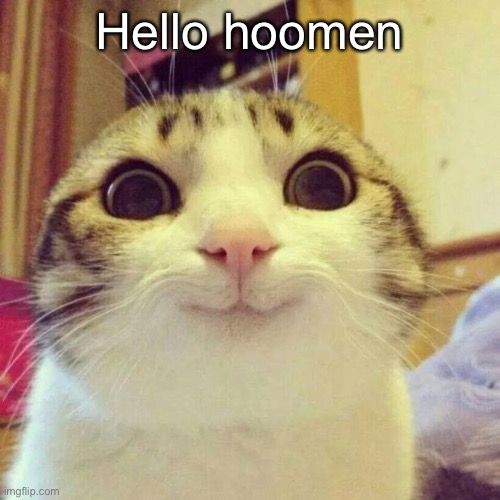 Smiling Cat | Hello hoomen | image tagged in memes,smiling cat | made w/ Imgflip meme maker