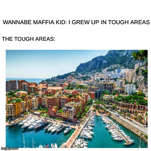 Annoying kids be like | WANNABE MAFFIA KID: I GREW UP IN TOUGH AREAS; THE TOUGH AREAS: | image tagged in so true memes,funny,kids these days,funny because it's true,2021,relatable | made w/ Imgflip meme maker
