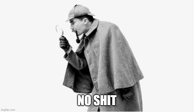 no shit sherlock  | NO SHIT | image tagged in no shit sherlock | made w/ Imgflip meme maker