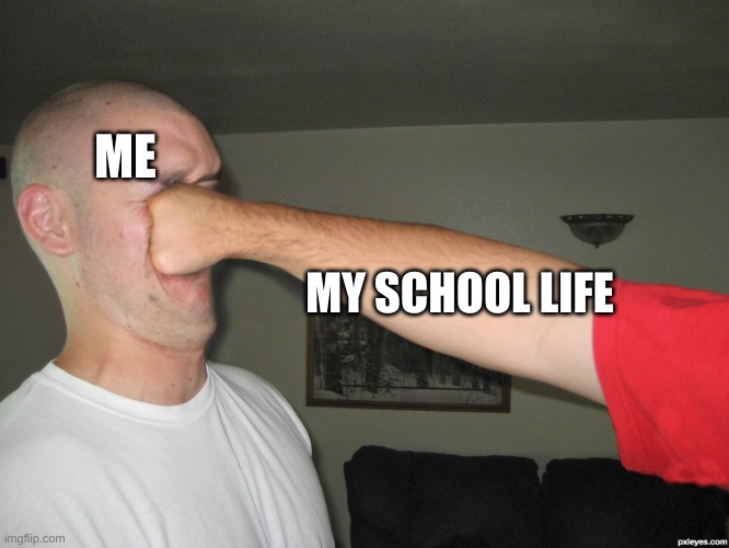 true tho |  ME; MY SCHOOL LIFE | image tagged in face punch | made w/ Imgflip meme maker
