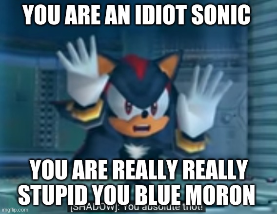 shadow you absolute thot | YOU ARE AN IDIOT SONIC; YOU ARE REALLY REALLY STUPID YOU BLUE MORON | image tagged in shadow you absolute thot | made w/ Imgflip meme maker