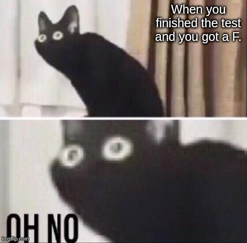 When you finished your test and you got an F on it: | When you finished the test and you got a F. | image tagged in oh no cat | made w/ Imgflip meme maker