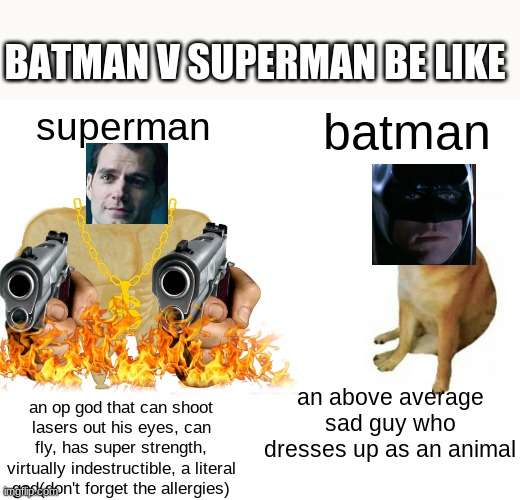 Batman V Superman in a nutshell | BATMAN V SUPERMAN BE LIKE; superman; batman; an above average sad guy who dresses up as an animal; an op god that can shoot lasers out his eyes, can fly, has super strength, virtually indestructible, a literal god(don't forget the allergies) | image tagged in memes,buff doge vs cheems | made w/ Imgflip meme maker