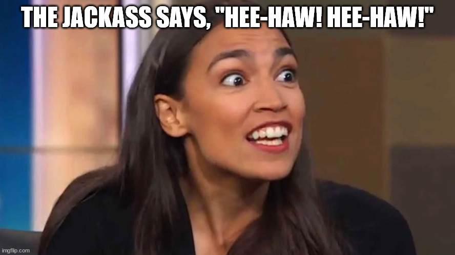 AOC can give beavers a run for their money with that overbite of hers. | THE JACKASS SAYS, "HEE-HAW! HEE-HAW!" | image tagged in crazy aoc,funny,politcs,mean,democrats,political meme | made w/ Imgflip meme maker