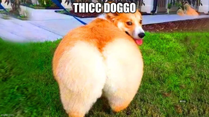 THICC DOGGO | made w/ Imgflip meme maker