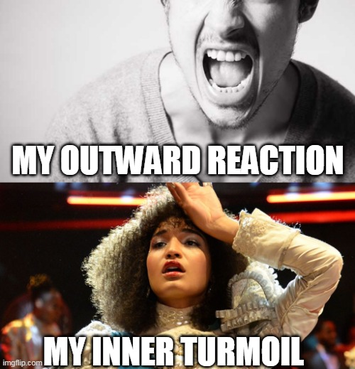 emotion | MY OUTWARD REACTION; MY INNER TURMOIL | image tagged in emotion | made w/ Imgflip meme maker