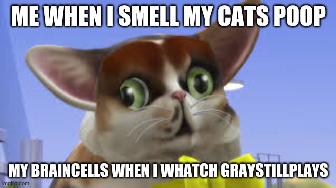 upvote if one of theese is true for u | ME WHEN I SMELL MY CATS POOP; MY BRAINCELLS WHEN I WHATCH GRAYSTILLPLAYS | image tagged in spleensthecat,relatable,spleeeeeeeeeeeeeeeeens | made w/ Imgflip meme maker