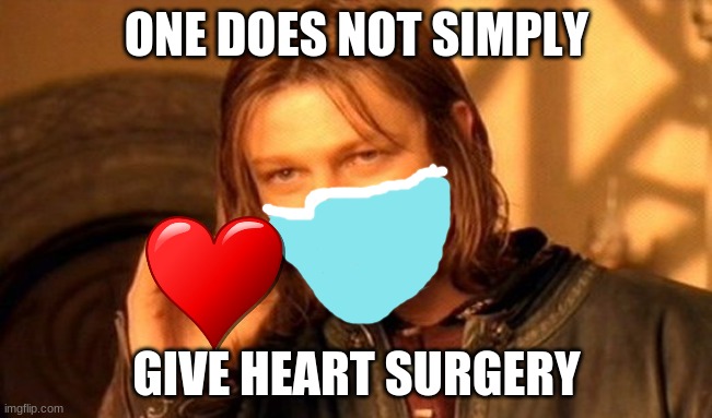 idk i was bored | ONE DOES NOT SIMPLY; GIVE HEART SURGERY | image tagged in memes,one does not simply | made w/ Imgflip meme maker