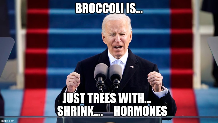 joe biden | BROCCOLI IS... JUST TREES WITH...      SHRINK....     HORMONES | image tagged in president biden,politics | made w/ Imgflip meme maker