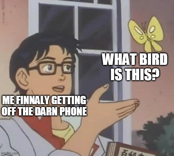 Is This A Pigeon Meme |  WHAT BIRD IS THIS? ME FINNALY GETTING OFF THE DARN PHONE | image tagged in memes,is this a pigeon | made w/ Imgflip meme maker