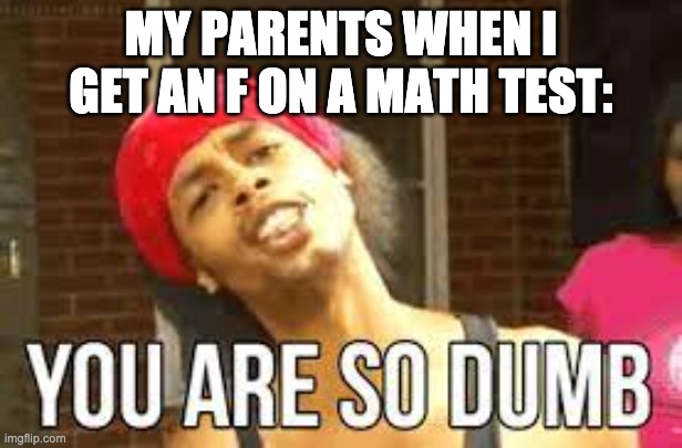 stupid | MY PARENTS WHEN I GET AN F ON A MATH TEST: | image tagged in dumb,memes,report card,school | made w/ Imgflip meme maker