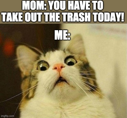 I hate trash | MOM: YOU HAVE TO TAKE OUT THE TRASH TODAY! ME: | image tagged in memes,scared cat | made w/ Imgflip meme maker