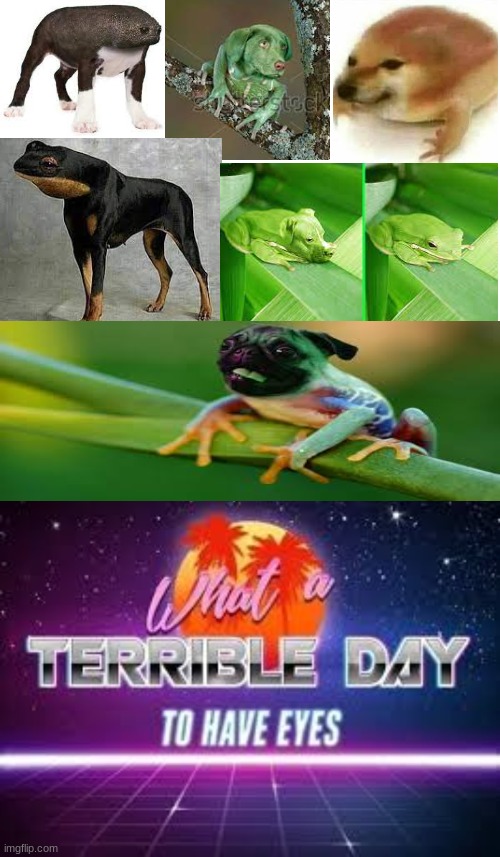 Frog dogs | image tagged in what a terrible day to have eyes,frogs,dogs | made w/ Imgflip meme maker