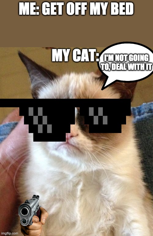 MLG cat | ME: GET OFF MY BED; MY CAT:; I'M NOT GOING TO, DEAL WITH IT | image tagged in memes,grumpy cat | made w/ Imgflip meme maker