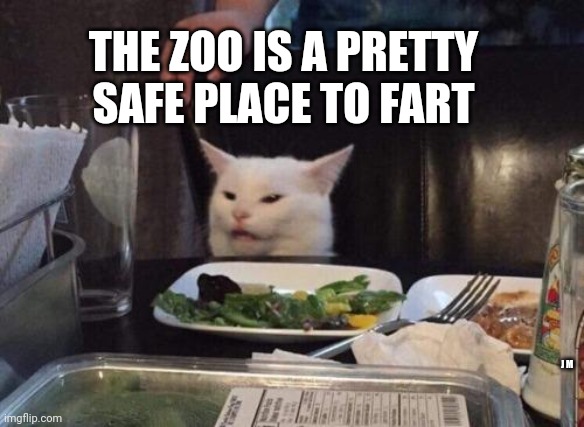 Salad cat | THE ZOO IS A PRETTY SAFE PLACE TO FART; J M | image tagged in salad cat | made w/ Imgflip meme maker