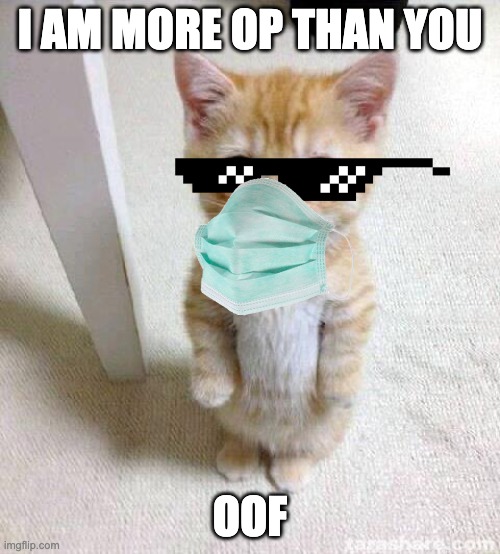 meme | I AM MORE OP THAN YOU; OOF | image tagged in memes,cute cat,oof | made w/ Imgflip meme maker