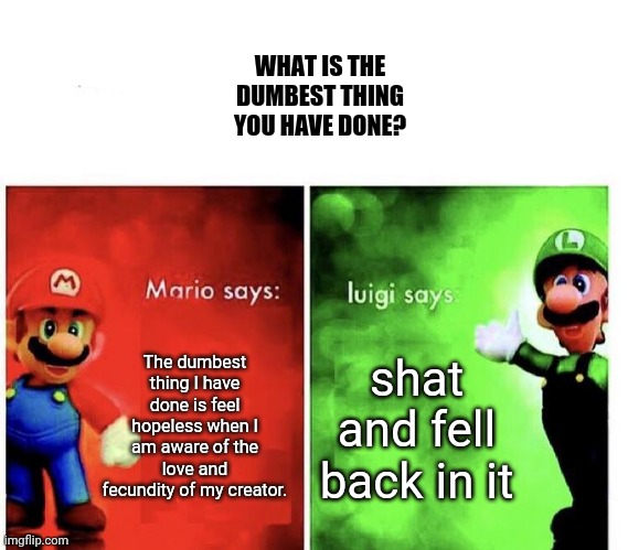 I- | WHAT IS THE DUMBEST THING YOU HAVE DONE? The dumbest thing I have done is feel hopeless when I am aware of the love and fecundity of my creator. shat and fell back in it | image tagged in mario bros views,luigi,mario,dumb | made w/ Imgflip meme maker