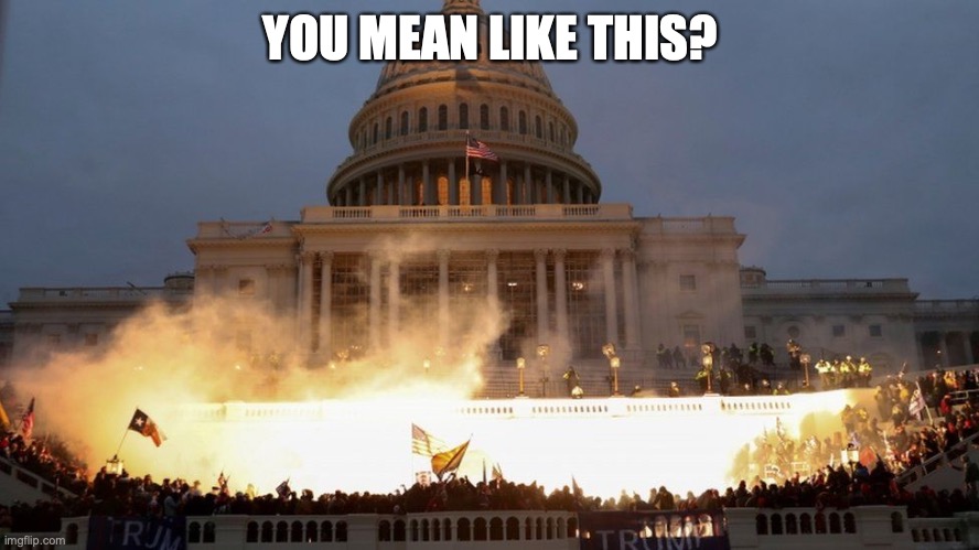 Capitol Riot - Trump Coup | YOU MEAN LIKE THIS? | image tagged in capitol riot - trump coup | made w/ Imgflip meme maker