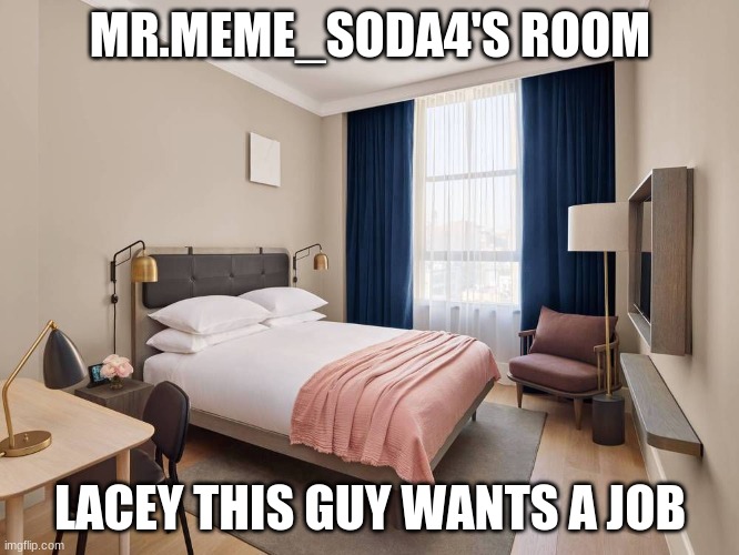 MR.MEME_SODA4'S ROOM; LACEY THIS GUY WANTS A JOB | made w/ Imgflip meme maker