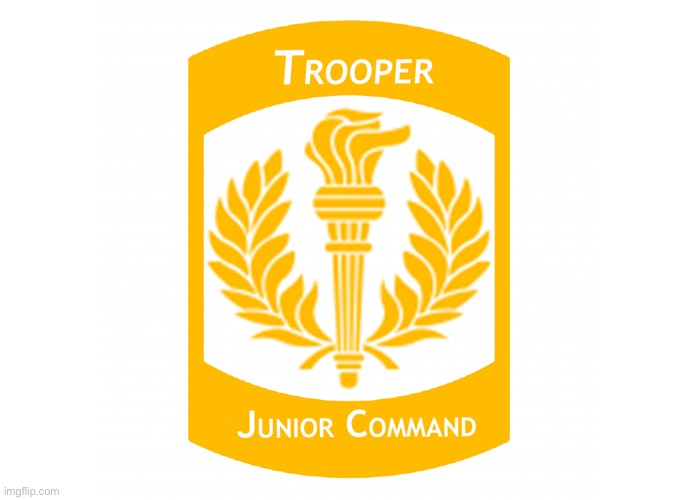 Junior Command; Chain of Command | image tagged in trooper junior command,chain of command,property of trooper,trooper | made w/ Imgflip meme maker