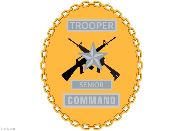 Trooper Senior Command | image tagged in trooper senior command | made w/ Imgflip meme maker