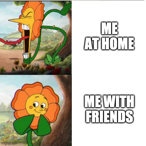 Cuphead Flower | ME AT HOME; ME WITH FRIENDS | image tagged in cuphead flower,insane,cute | made w/ Imgflip meme maker