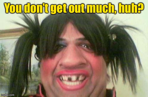 ugly woman with pigtails | You don’t get out much, huh? | image tagged in ugly woman with pigtails | made w/ Imgflip meme maker