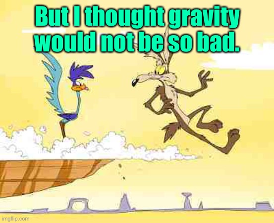 Wile E. Coyote roadrunner | But I thought gravity would not be so bad. | image tagged in wile e coyote roadrunner | made w/ Imgflip meme maker