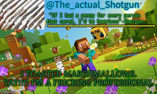 Name: shotgun occupation: professional marshmallow roaster | I TOASTED MARSHMALLOWS. YAY!!!! I'M A FRICKING PROFESSIONAL | image tagged in the_shotguns new announcement template | made w/ Imgflip meme maker