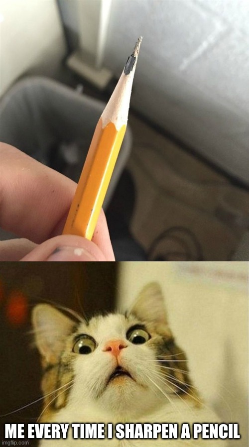 ME EVERY TIME I SHARPEN A PENCIL | image tagged in memes,scared cat | made w/ Imgflip meme maker