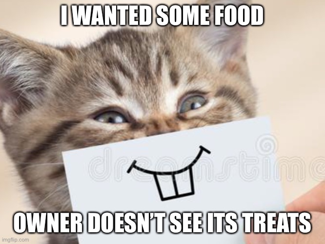 Idk what I’m doing don’t upvote | I WANTED SOME FOOD; OWNER DOESN’T SEE ITS TREATS | image tagged in cats | made w/ Imgflip meme maker