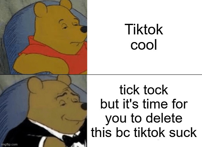 Tuxedo Winnie The Pooh Meme | Tiktok cool tick tock but it's time for you to delete this bc tiktok suck | image tagged in memes,tuxedo winnie the pooh | made w/ Imgflip meme maker