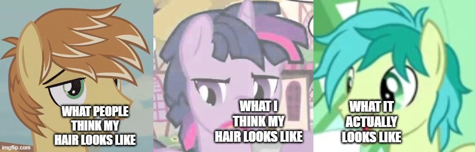 sad but true, I keep reminding myself this. (Hard to Say Anything, Dusk Shine and the Pursuit of Happiness & Ending of the End) | WHAT PEOPLE THINK MY HAIR LOOKS LIKE; WHAT IT ACTUALLY LOOKS LIKE; WHAT I THINK MY HAIR LOOKS LIKE | image tagged in my little pony friendship is magic,bad haircut,twilight sparkle | made w/ Imgflip meme maker