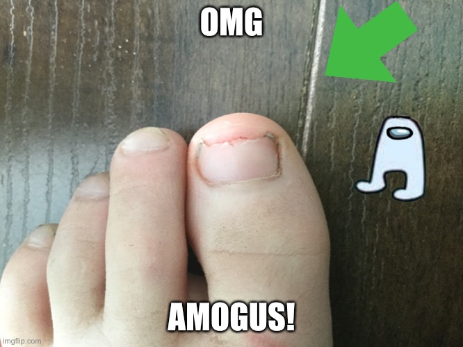 Lol among us spotted | OMG; AMOGUS! | image tagged in among us memes | made w/ Imgflip meme maker