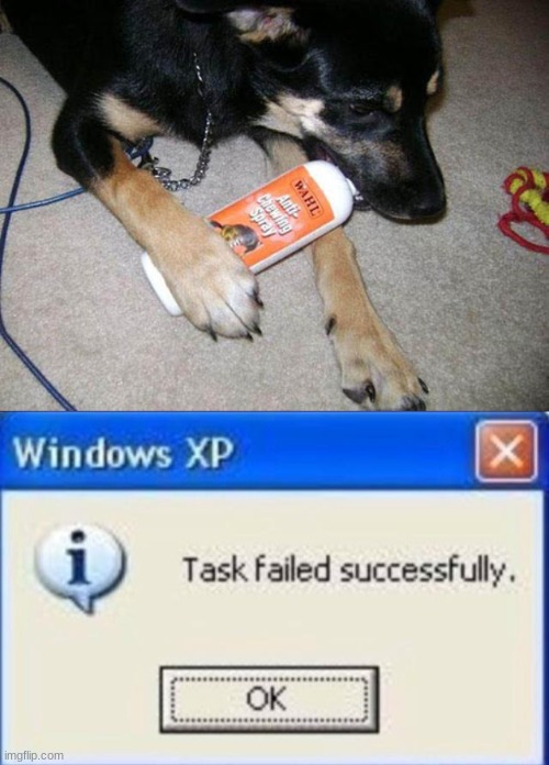 anti chewing spray | image tagged in task failed successfully,dogs | made w/ Imgflip meme maker