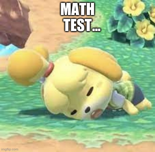 MATH
TEST; ... | image tagged in animal crossing,video games | made w/ Imgflip meme maker