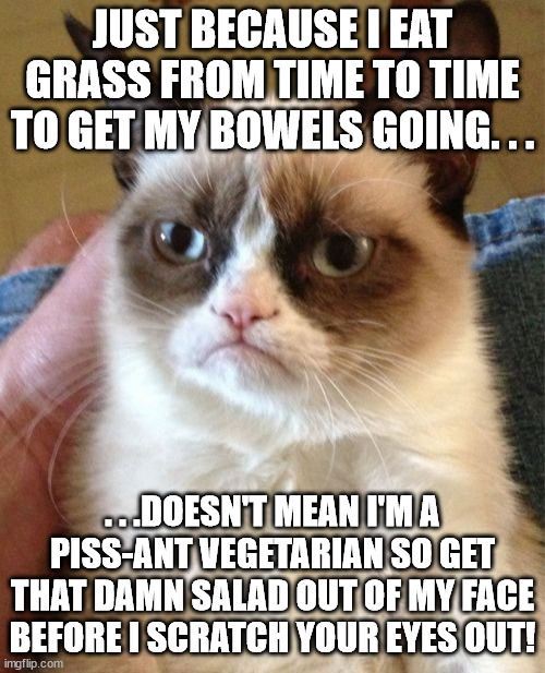 Cats: The More You Know! | JUST BECAUSE I EAT GRASS FROM TIME TO TIME TO GET MY BOWELS GOING. . . . . .DOESN'T MEAN I'M A PISS-ANT VEGETARIAN SO GET THAT DAMN SALAD OUT OF MY FACE BEFORE I SCRATCH YOUR EYES OUT! | image tagged in memes,grumpy cat,cat,funny,funny memes,toilet humor | made w/ Imgflip meme maker