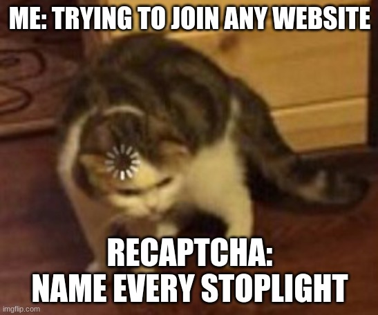Loading cat | ME: TRYING TO JOIN ANY WEBSITE; RECAPTCHA: NAME EVERY STOPLIGHT | image tagged in loading cat | made w/ Imgflip meme maker