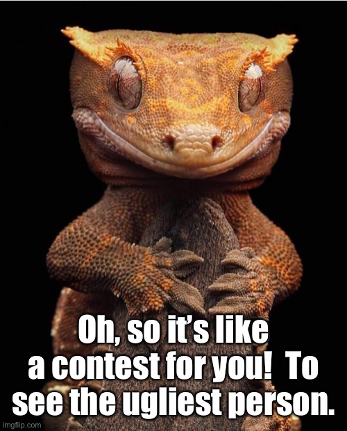 geko smerk | Oh, so it’s like a contest for you!  To see the ugliest person. | image tagged in geko smerk | made w/ Imgflip meme maker