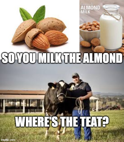 Almond Milk? | SO YOU MILK THE ALMOND; WHERE'S THE TEAT? | image tagged in almond milk,farmer,teats,funny | made w/ Imgflip meme maker