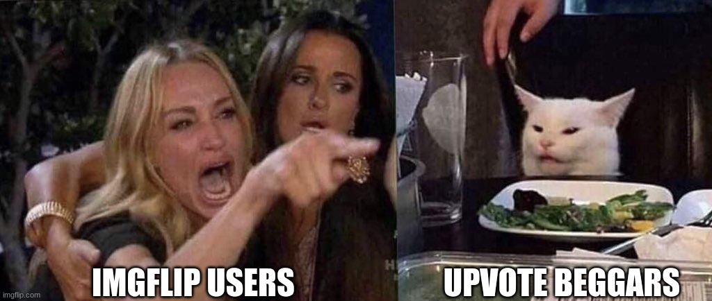 woman yelling at cat | IMGFLIP USERS; UPVOTE BEGGARS | image tagged in woman yelling at cat | made w/ Imgflip meme maker