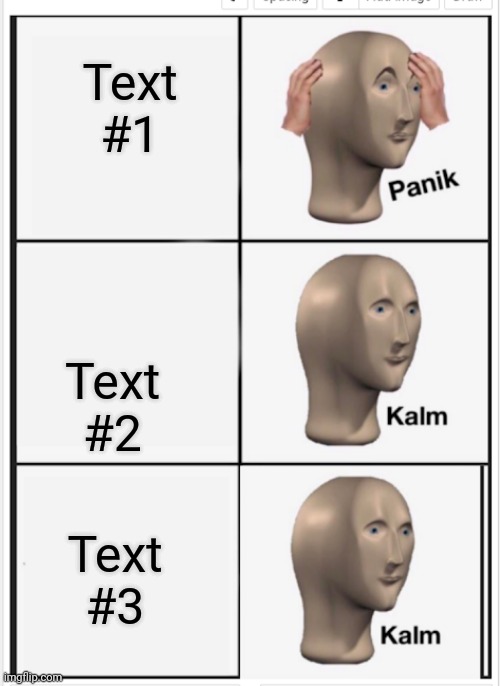 Panik Kalm Kalm | Text #1; Text #2; Text #3 | image tagged in panik kalm kalm | made w/ Imgflip meme maker