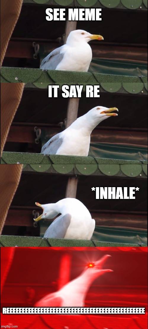 Inhaling Seagull | SEE MEME; IT SAY RE; *INHALE*; REEEEEEEEEEEEEEEEEEEEEEEEEEEEEEEEEEEEEEEEEEEEE | image tagged in memes,inhaling seagull | made w/ Imgflip meme maker