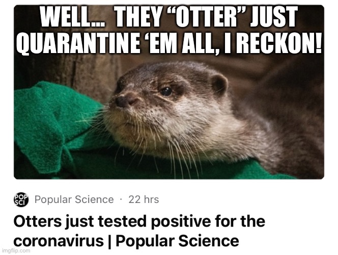 Otter Coronavirus | WELL...  THEY “OTTER” JUST QUARANTINE ‘EM ALL, I RECKON! | image tagged in animals,otter,coronavirus,covid19 | made w/ Imgflip meme maker