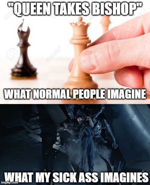 Queen takes Bishop | "QUEEN TAKES BISHOP"; WHAT NORMAL PEOPLE IMAGINE; WHAT MY SICK ASS IMAGINES | image tagged in aliens,chess | made w/ Imgflip meme maker