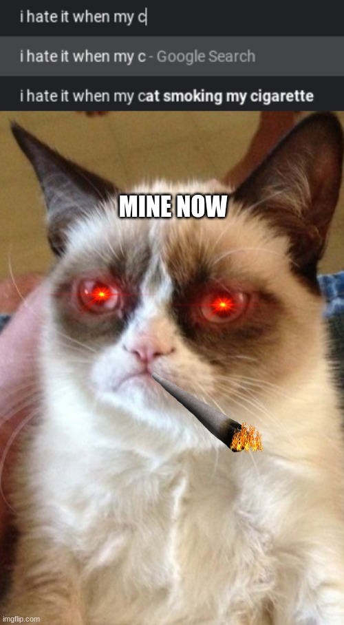 MINE NOW | image tagged in who toke my pack of smokes,memes,grumpy cat | made w/ Imgflip meme maker