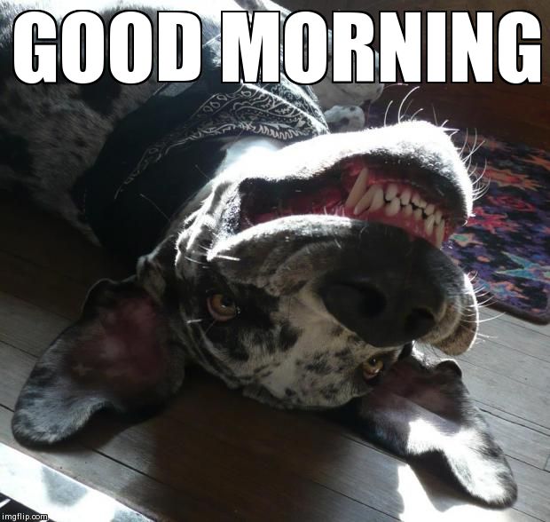 GOOD MORNING | made w/ Imgflip meme maker