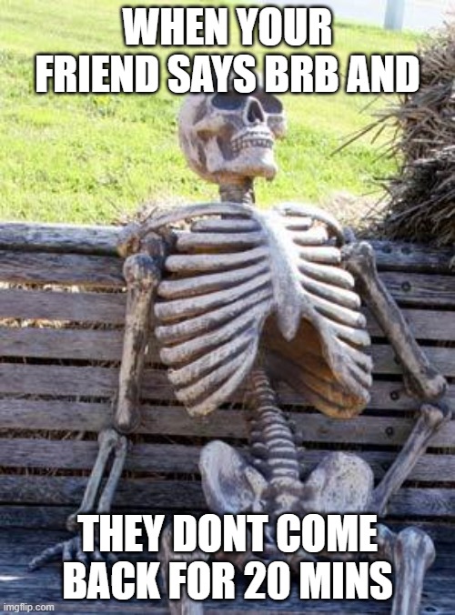 Waiting Skeleton | WHEN YOUR FRIEND SAYS BRB AND; THEY DONT COME BACK FOR 20 MINS | image tagged in memes,waiting skeleton | made w/ Imgflip meme maker