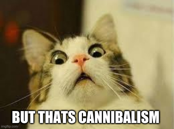 shocked cat | BUT THATS CANNIBALISM | image tagged in shocked cat | made w/ Imgflip meme maker