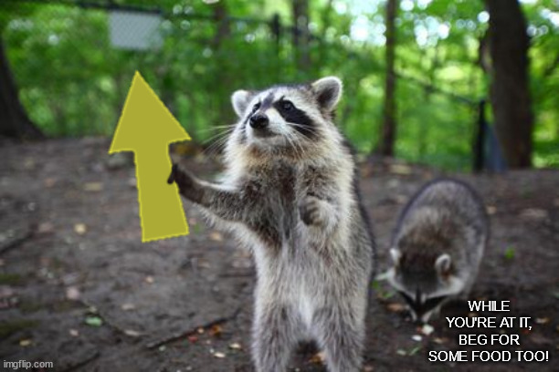 Trash Pandas Upvote Beg With Style! |  WHILE YOU'RE AT IT, BEG FOR SOME FOOD TOO! | image tagged in trash panda,raccoon,upvote begging | made w/ Imgflip meme maker